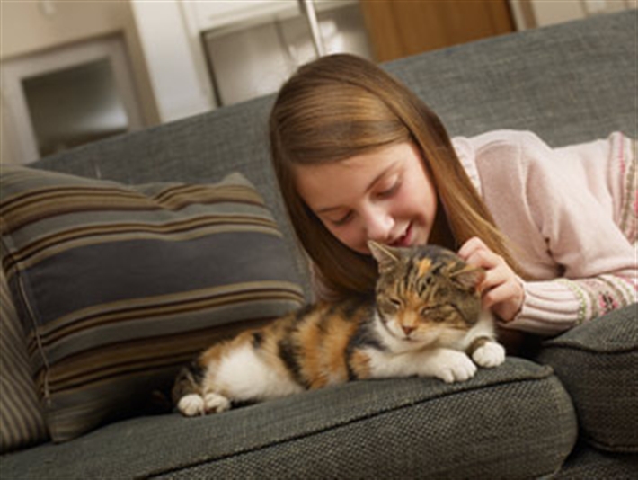 Little girl with cat on sofa